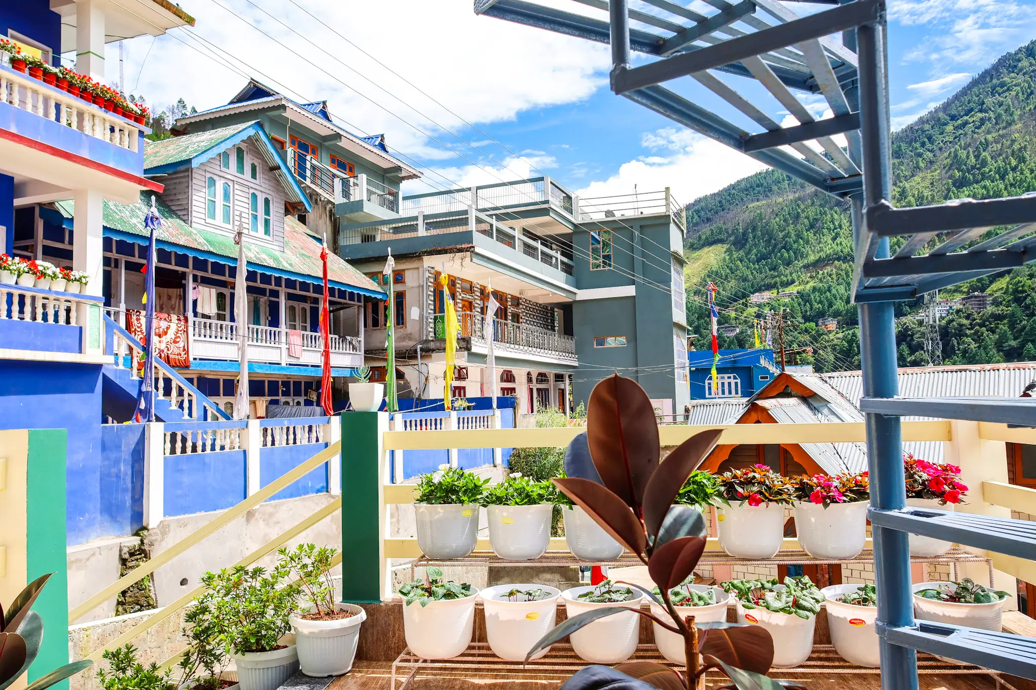Beautiful garden at Daisy Homestay with local flowers and plants